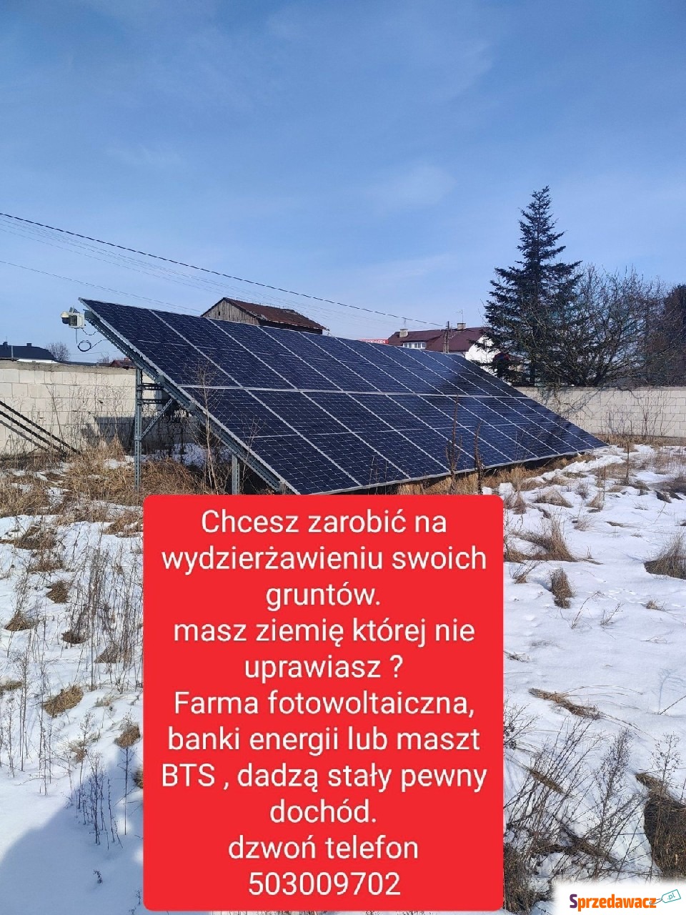 Masz ziemię chcesz na niej zar...