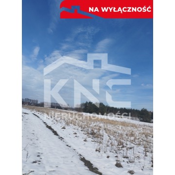 Działka budowlana Gruszów Mały sprzedam, pow. 1005 m2  (10.1a) - zdjęcie 5