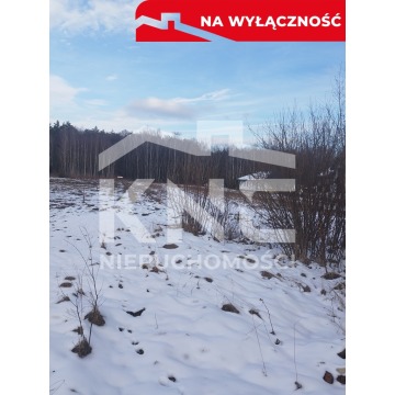 Działka budowlana Szarwark sprzedam, pow. 5800 m2  (58a) - zdjęcie 4