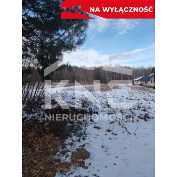 Działka budowlana Szarwark sprzedam, pow. 5800 m2  (58a) - zdjęcie 3