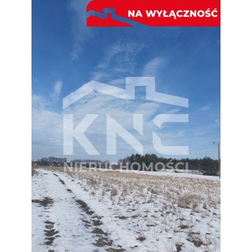 Działka budowlana Gruszów Mały sprzedam, pow. 1005 m2  (10.1a) - zdjęcie 2