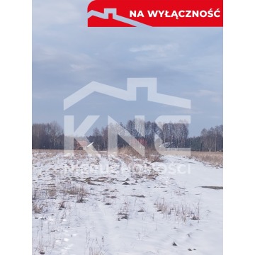 Działka budowlana Gruszów Mały sprzedam, pow. 1005 m2  (10.1a) - zdjęcie 3