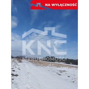 Działka budowlana Gruszów Mały sprzedam, pow. 1020 m2  (10.2a) - zdjęcie 3