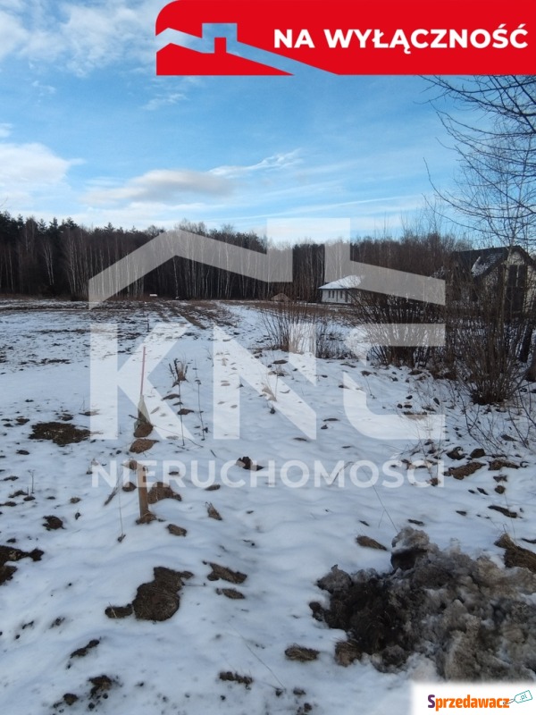 Działka budowlana Szarwark sprzedam, pow. 5800 m2  (58a)