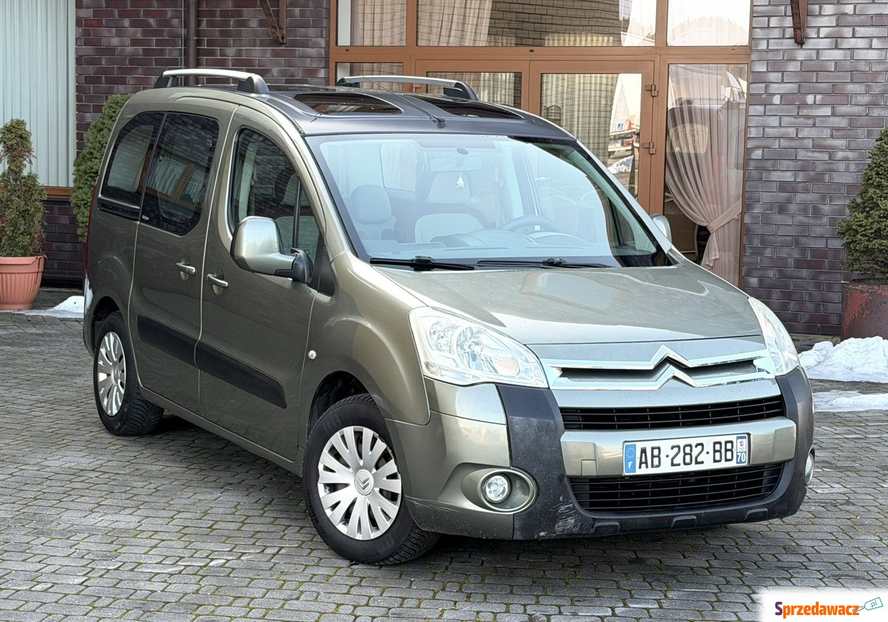 Citroen Berlingo 2009