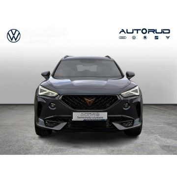Cupra Formentor  SUV 2024,  1.5 benzyna, automat - Na sprzedaż za 114 900 zł - Stalowa Wola - zdjęcie 8