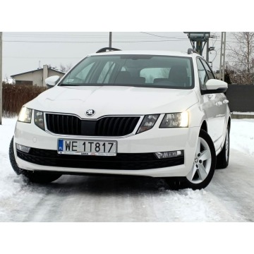 Skoda Octavia 2020,  1.6 diesel - Na sprzedaż za 43 911 zł - Nowe Iganie - zdjęcie 10