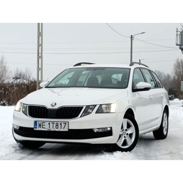 Skoda Octavia 2020,  1.6 diesel - Na sprzedaż za 43 911 zł - Nowe Iganie - zdjęcie 11