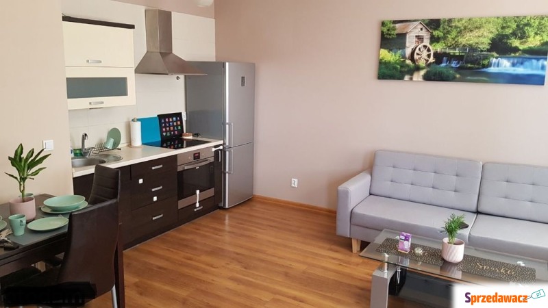 Mieszkanie dwupokojowe Wrocław - Krzyki,   46 m2, pierwsze piętro - Do wynajęcia