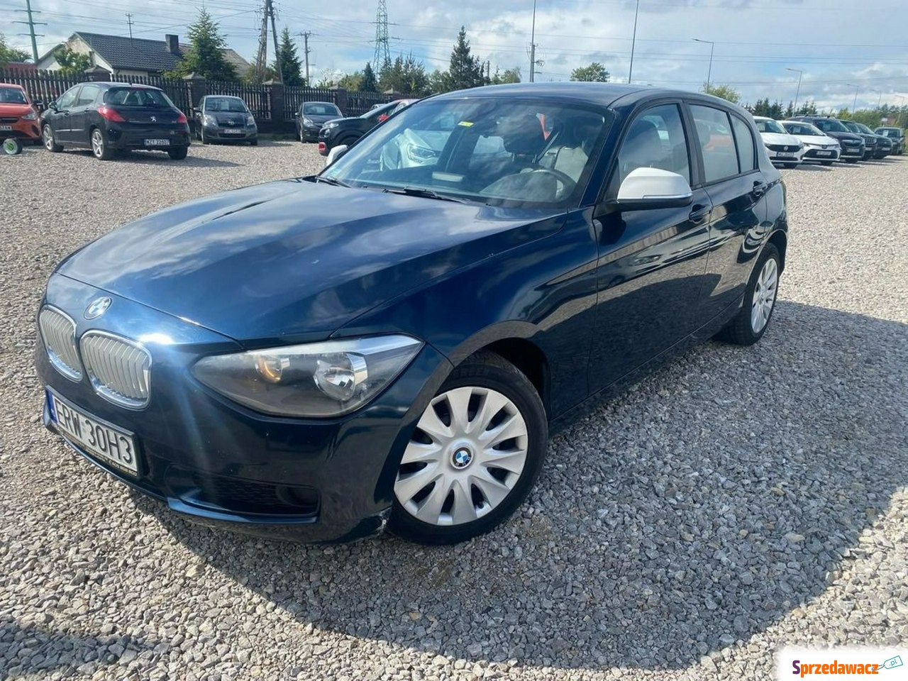 BMW Seria 1 2013