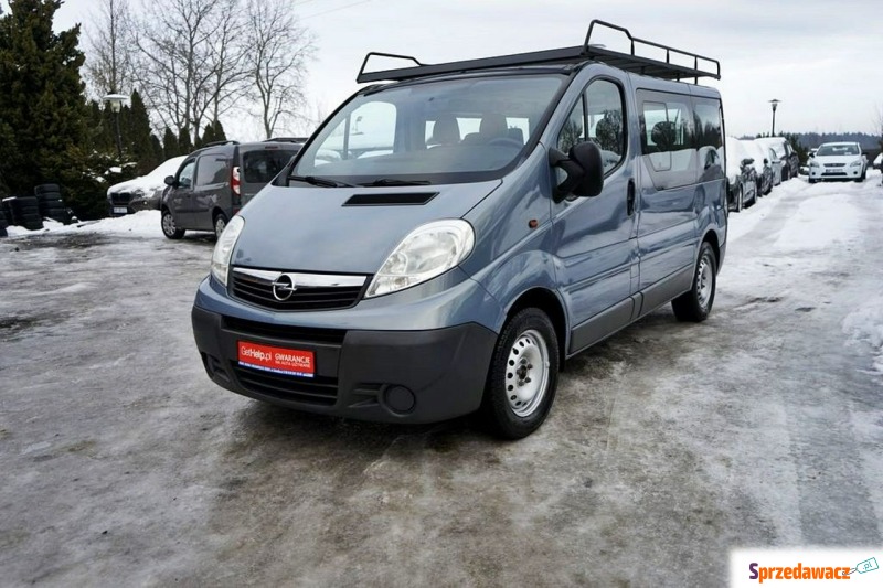 Opel Vivaro 2008,  2.5 diesel - Na sprzedaż za 19 400 zł - Płock