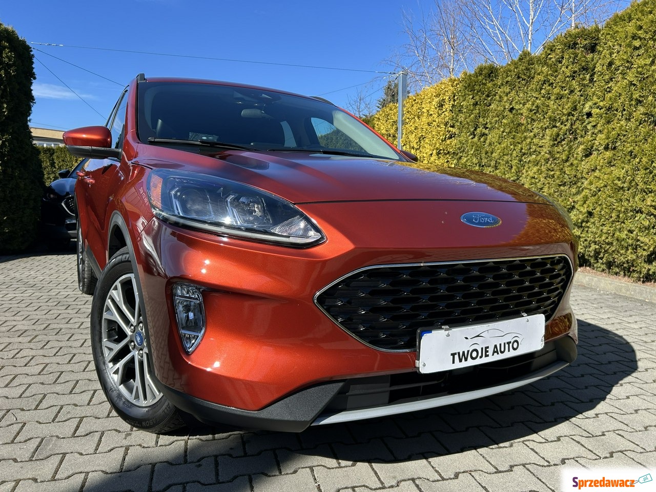 Ford Escape 2020