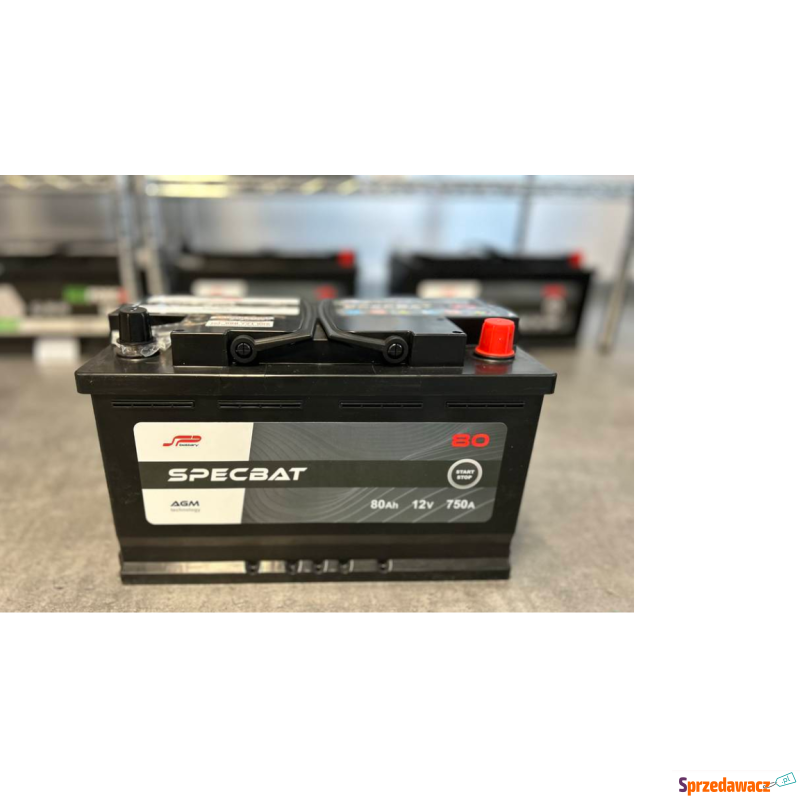 Akumulator Specbat 80Ah 750A