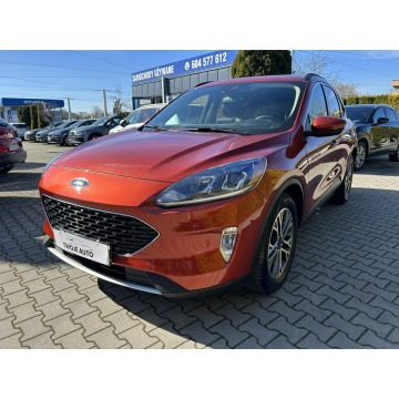 Ford Escape  SUV 2020,  2.0 benzyna, automat - Na sprzedaż za 74 800 zł - Tarnów - zdjęcie 2