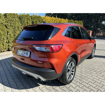 Ford Escape  SUV 2020,  2.0 benzyna, automat - Na sprzedaż za 74 800 zł - Tarnów - zdjęcie 4