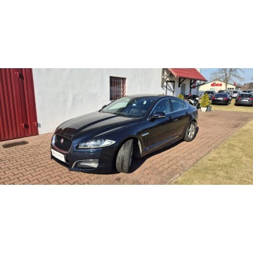 Jaguar XF  Sedan/Limuzyna 2013,  2.2 diesel, automat - Na sprzedaż za 38 800 zł - Paproć - zdjęcie 3