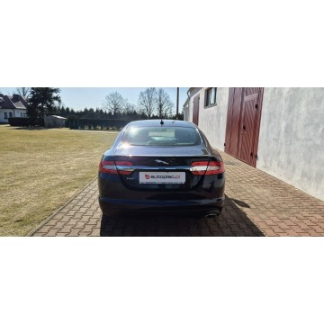 Jaguar XF  Sedan/Limuzyna 2013,  2.2 diesel, automat - Na sprzedaż za 38 800 zł - Paproć - zdjęcie 7