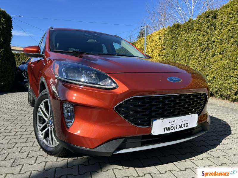 Ford Escape  SUV 2020,  2.0 benzyna, automat - Na sprzedaż za 74 800 zł - Tarnów