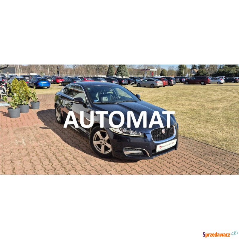 Jaguar XF  Sedan/Limuzyna 2013,  2.2 diesel, automat - Na sprzedaż za 38 800 zł - Paproć