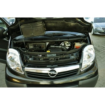 Opel Vivaro 2007,  2.5 diesel, automat - Na sprzedaż za 24 900 zł - Płock - zdjęcie 8