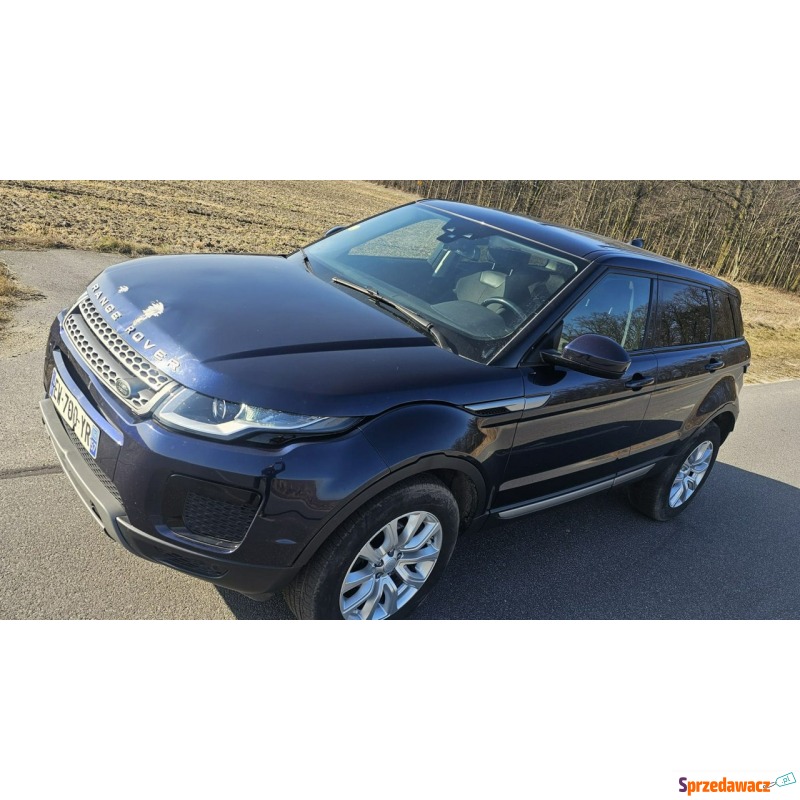 Land Rover Range Rover Evoque  SUV 2018,  2.0 diesel - Na sprzedaż za 36 999 zł - Pleszew