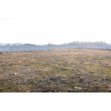 Działka usługowa Lutoryż sprzedam, pow. 2755 m2  (27.6a) - zdjęcie 8