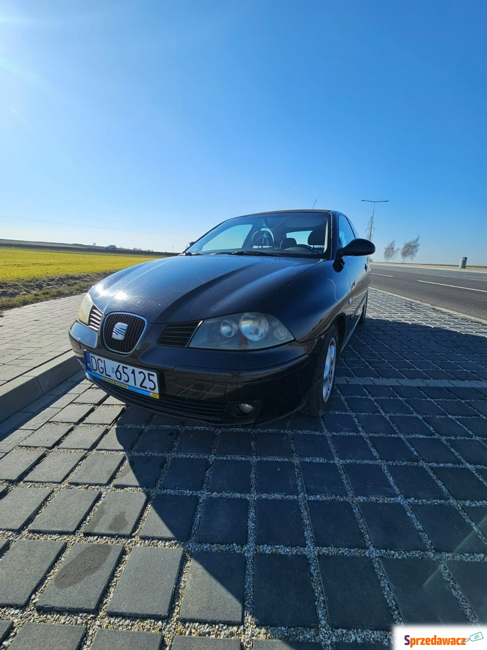 Seat Ibiza 2003