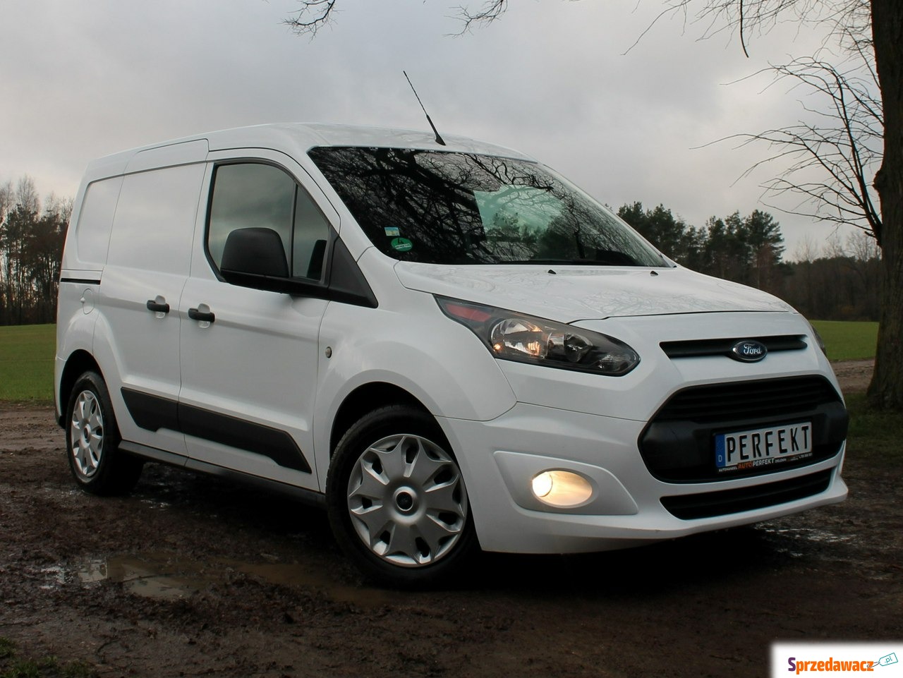 Ford Transit Connect 2017