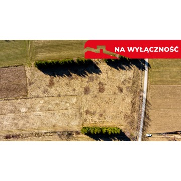 Działka Ołpiny sprzedam, pow. 6200 m2  (0.62ha) - zdjęcie 5