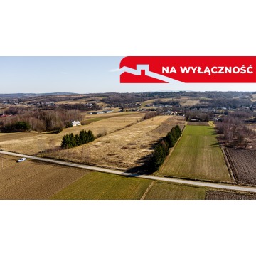 Działka Ołpiny sprzedam, pow. 6200 m2  (0.62ha) - zdjęcie 7
