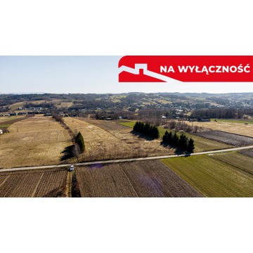 Działka Ołpiny sprzedam, pow. 6200 m2  (0.62ha) - zdjęcie 6