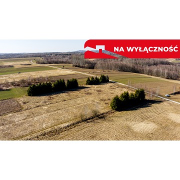 Działka Ołpiny sprzedam, pow. 6200 m2  (0.62ha) - zdjęcie 3