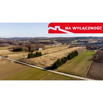 Działka Ołpiny sprzedam, pow. 6200 m2  (0.62ha) - zdjęcie 4