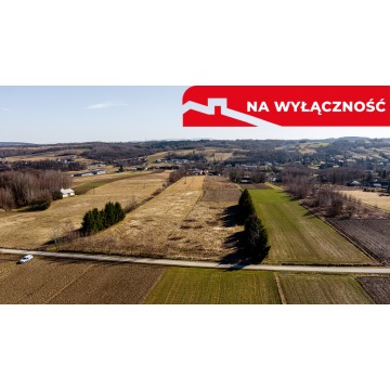Działka Ołpiny sprzedam, pow. 6200 m2  (0.62ha) - zdjęcie 8
