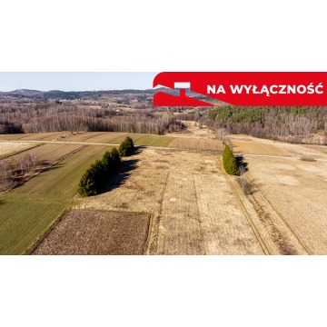 Działka Ołpiny sprzedam, pow. 6200 m2  (0.62ha) - zdjęcie 2