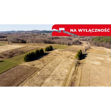 Działka budowlano-rolna 62 ar OŁPINY!