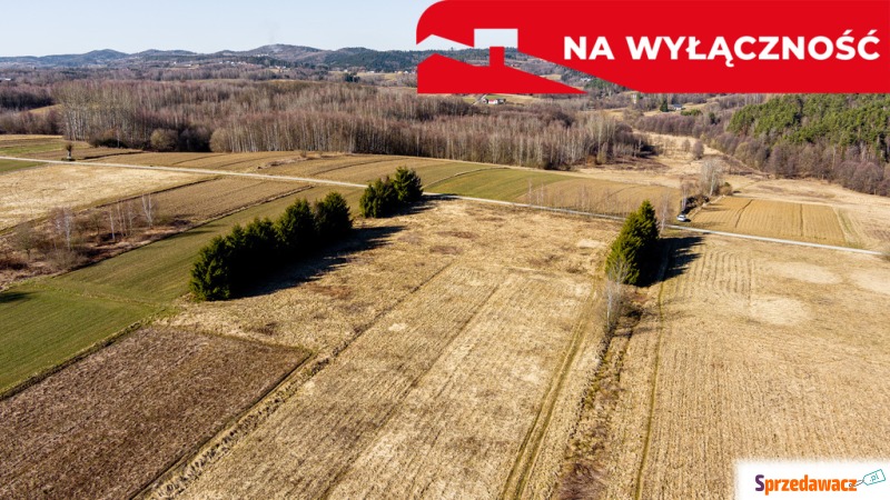Działka Ołpiny sprzedam, pow. 6200 m2  (0.62ha)