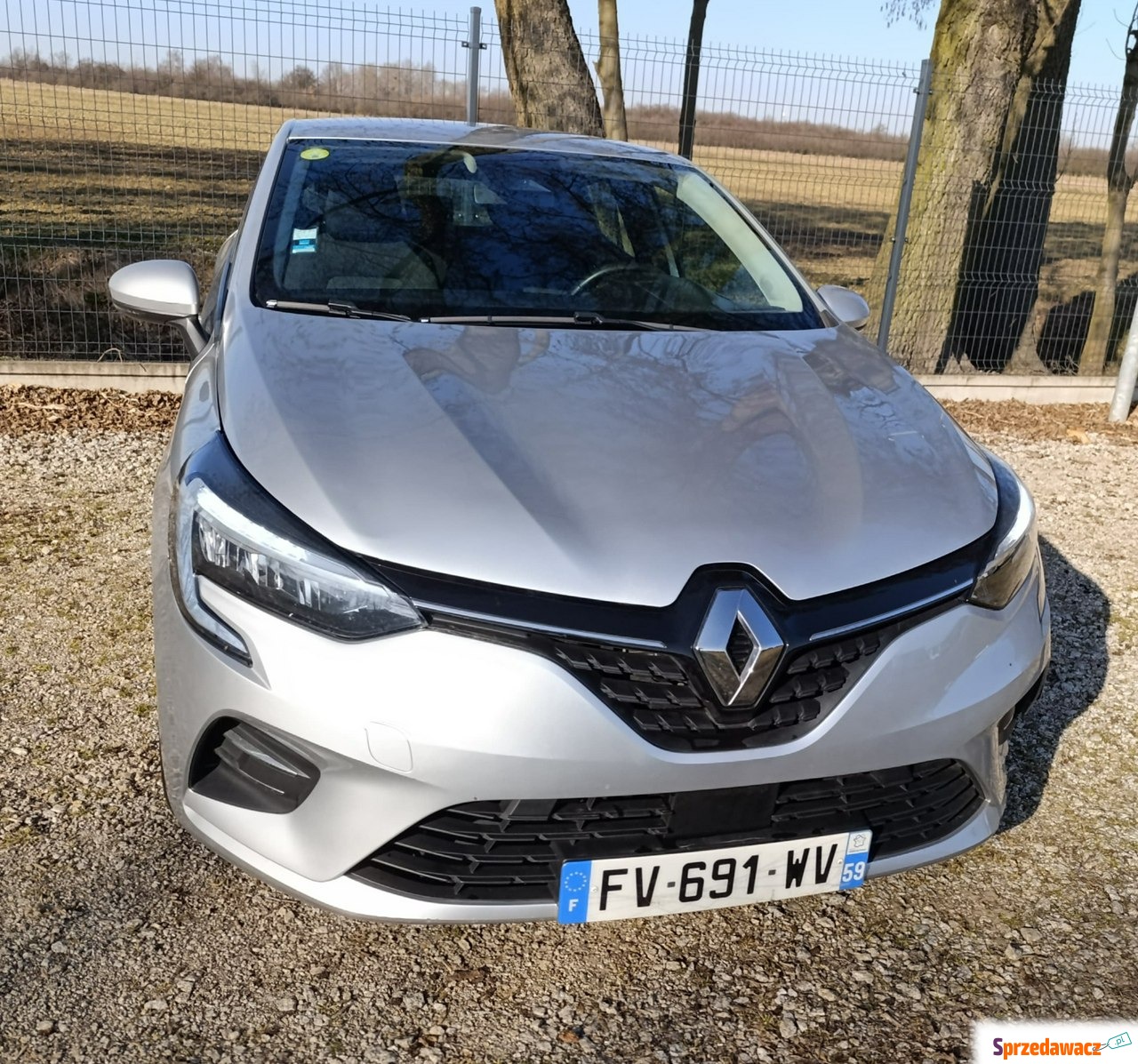 Renault Clio 2020