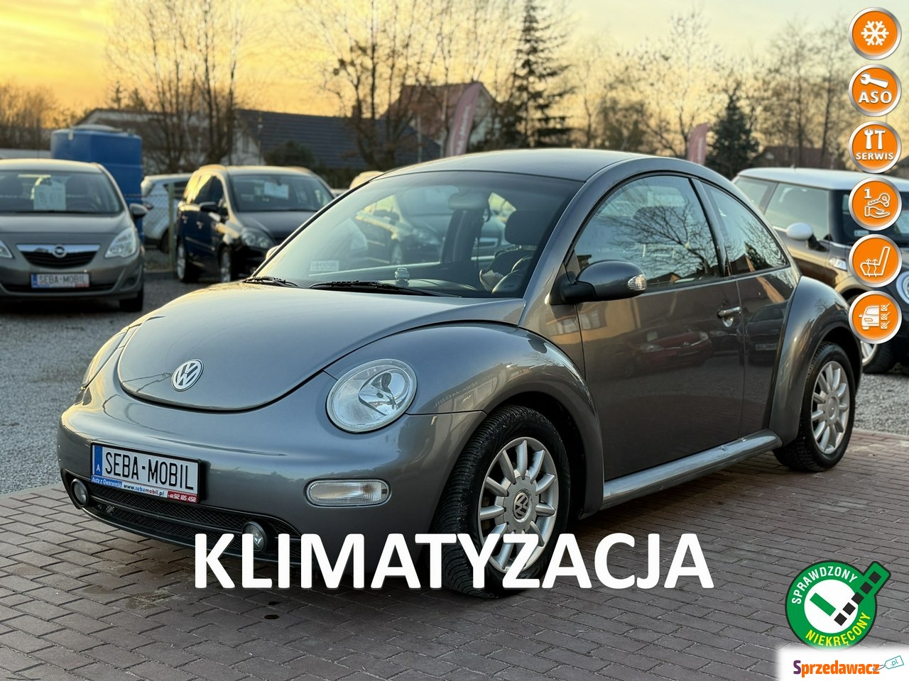 Volkswagen New Beetle 2004