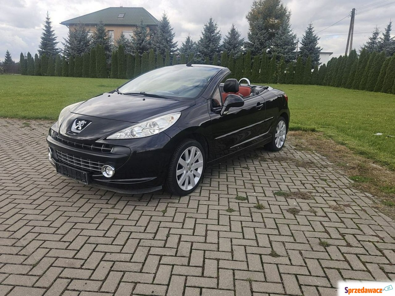 Peugeot 207 CC 2009