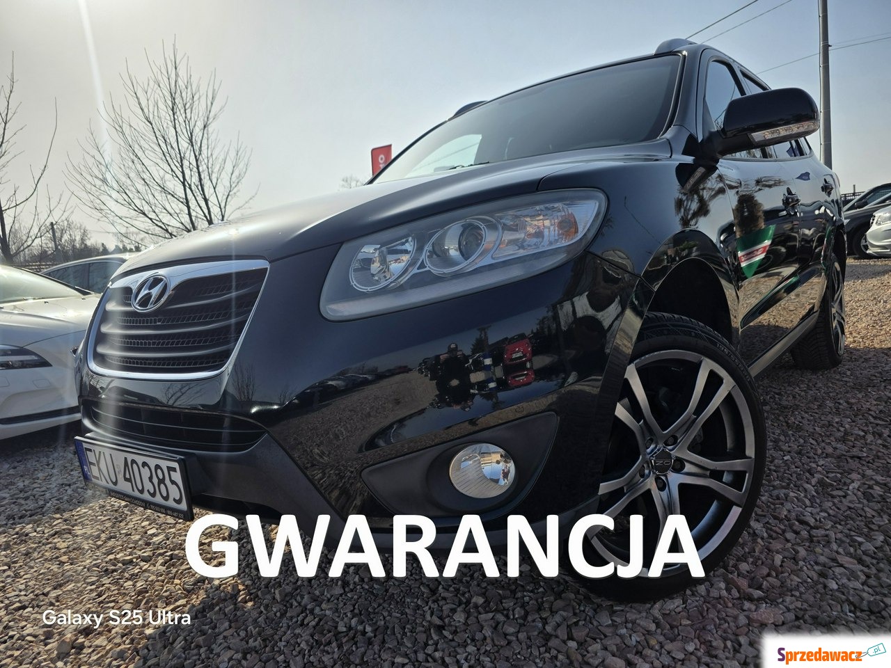 Hyundai Santa Fe 2010