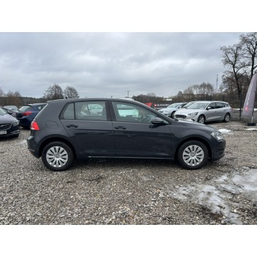 Volkswagen Golf  Hatchback 2017,  1.2 benzyna - Na sprzedaż za 43 800 zł - Rawa Mazowiecka - zdjęcie 12