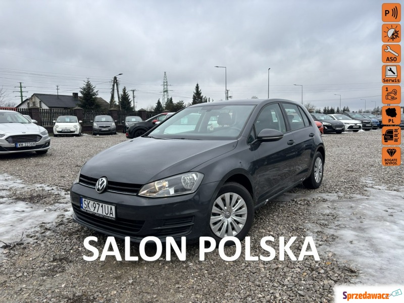 Volkswagen Golf  Hatchback 2017,  1.2 benzyna - Na sprzedaż za 43 800 zł - Rawa Mazowiecka