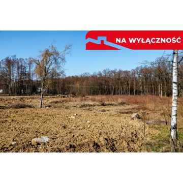 Działka Tarnów sprzedam, pow. 5773 m2  (57.7a) - zdjęcie 4