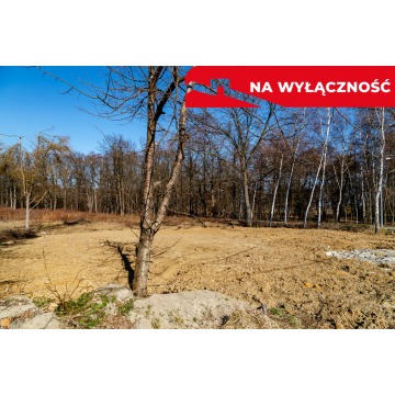 Działka Tarnów sprzedam, pow. 5773 m2  (57.7a) - zdjęcie 5