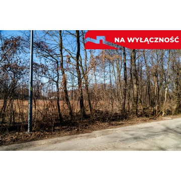 Działka Tarnów sprzedam, pow. 5773 m2  (57.7a) - zdjęcie 8
