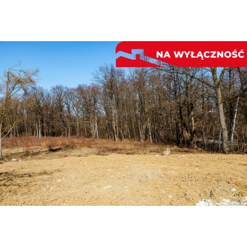 Działka Tarnów sprzedam, pow. 5773 m2  (57.7a) - zdjęcie 2