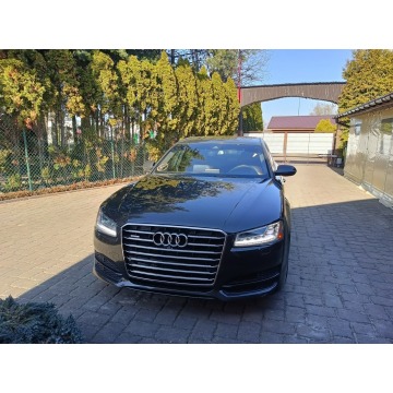Audi Super stan