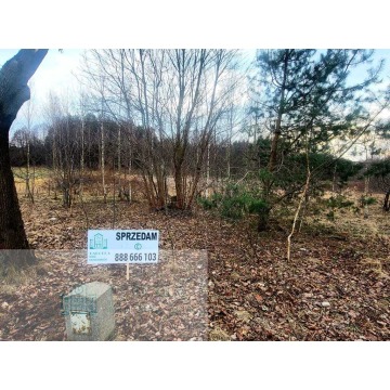 Działka budowlana Trzepnica sprzedam, pow. 749 m2  (7.5a) - zdjęcie 4