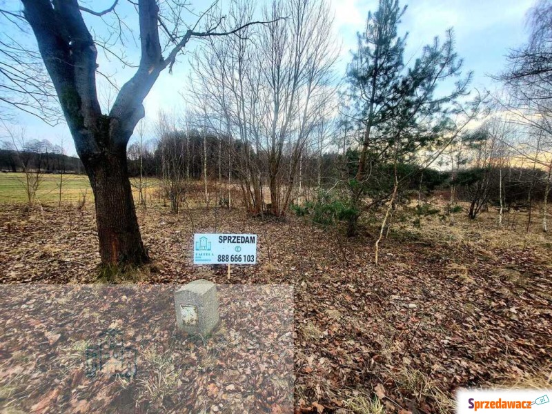 Działka budowlana Trzepnica sprzedam, pow. 749 m2  (7.5a)